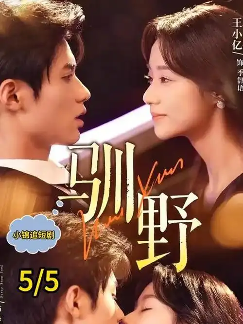 编辑推荐 夜行灯